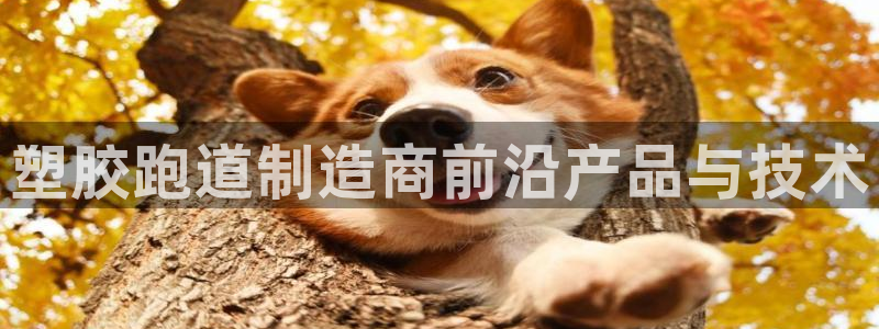 红姐现场直播开奖记录：塑胶跑道制造商前沿产品与技术