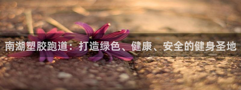 红足1世手机下载：南湖塑胶跑道：打造绿色、健康、安全的健身圣地
