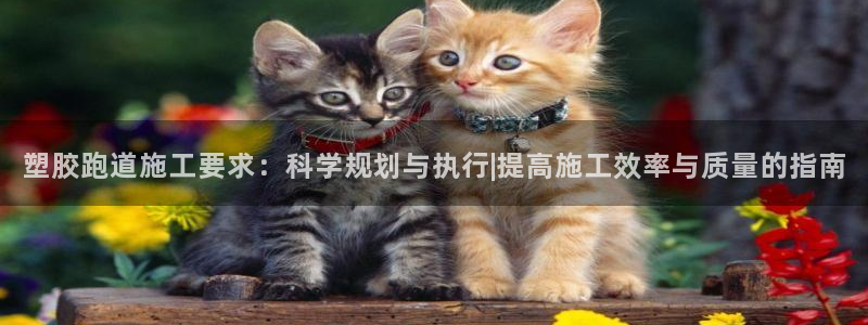 4633333开奖结果4176一点红：塑胶跑道施工要求：科学规划与执行|提高施工效率与质量的指南