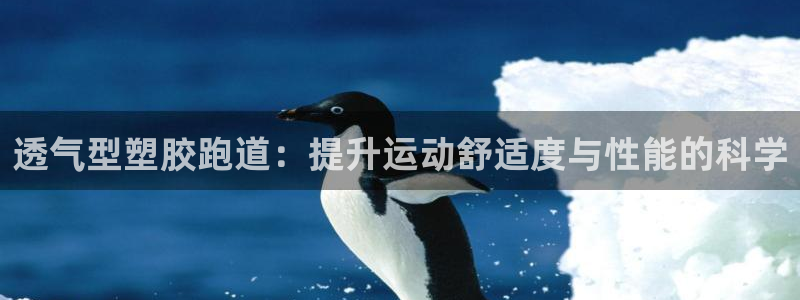 红足一1世：透气型塑胶跑道：提升运动舒适度与性能的科学