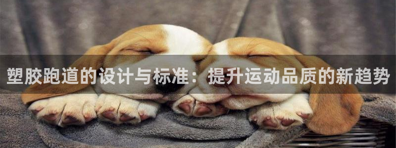 红足1世1站：塑胶跑道的设计与标准：提升运动品质的新趋势