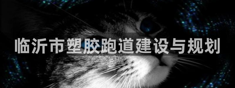 红足1世1站2站管理网：临沂市塑胶跑道建设与规划