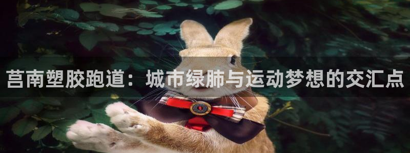 红足网足球直播：莒南塑胶跑道：城市绿肺与运动梦想的交汇点