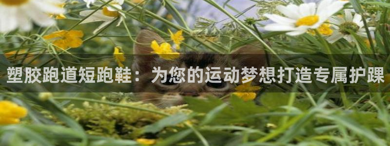 红足一：塑胶跑道短跑鞋：为您的运动梦想打造专属护踝