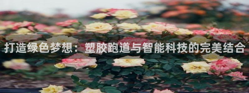 红足一1世平台：打造绿色梦想：塑胶跑道与智能科技的完美结合