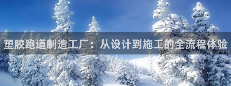 百度红足一1是为什么：塑胶跑道制造工厂：从设计到施工的全流程体验