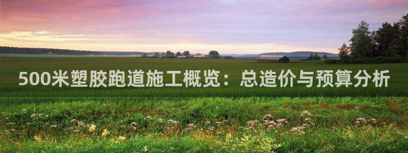 777814红·足一世比分篮球：500米塑胶跑道施工概览：总造价与预算分析