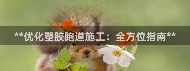 百度红足一1世：**优化塑胶跑道施工：全方位指南**