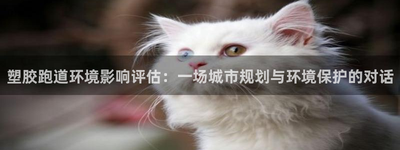 红足1世手机版下载：塑胶跑道环境影响评估：一场城市规划与环境保护的对话