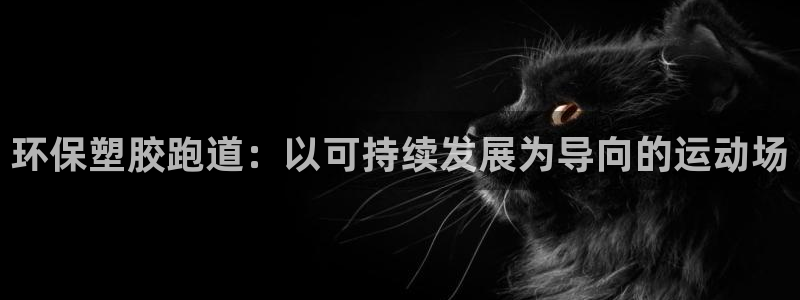 666814红·足一世比分:环保塑胶跑道:以可持续发展为导向的运动场