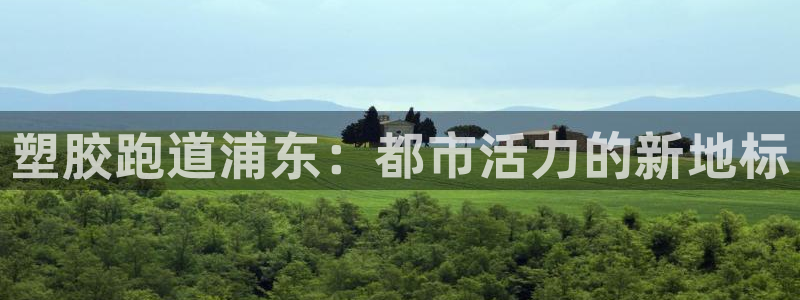 红足1一世 2站：塑胶跑道浦东：都市活力的新地标