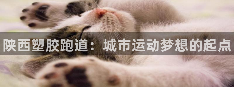 红足一1世77814：陕西塑胶跑道：城市运动梦想的起点