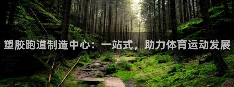 红足1世足球比分预测：塑胶跑道制造中心：一站式，助力体育运动发展