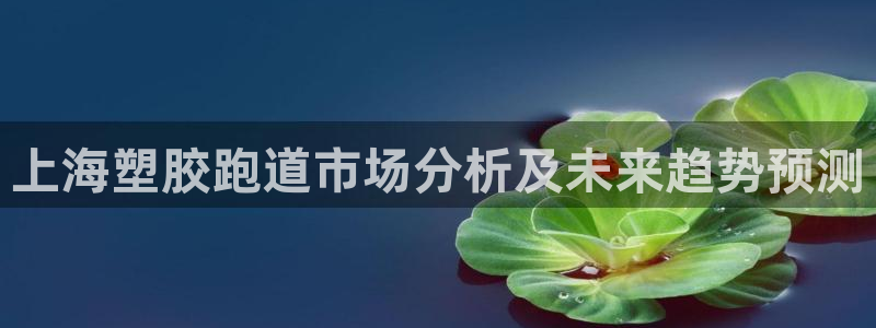 红足一1世77814：上海塑胶跑道市场分析及未来趋势预测