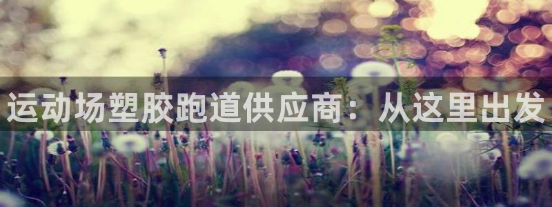 红足一1世皇冠：运动场塑胶跑道供应商：从这里出发