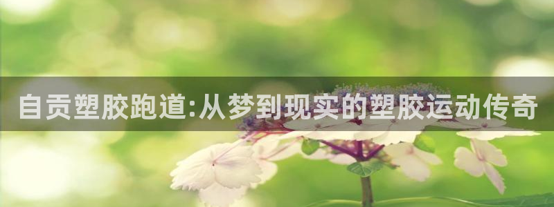 红姐现场直播开奖记录：自贡塑胶跑道:从梦到现实的塑胶运动传奇