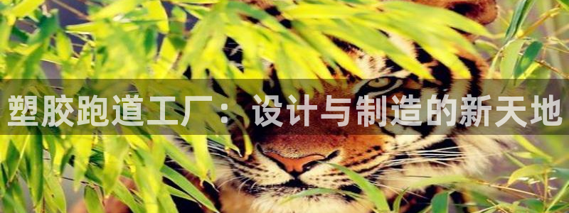 红足1世手机板：塑胶跑道工厂：设计与制造的新天地