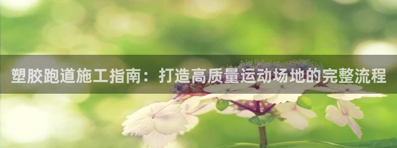 百度红足一1是干什么的：塑胶跑道施工指南：打造高质量运动场地的完整流程