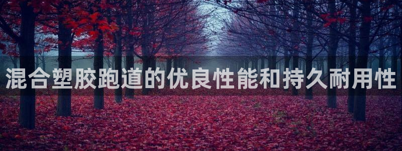 666814红·足一世比分：混合塑胶跑道的优良性能和持久耐用性