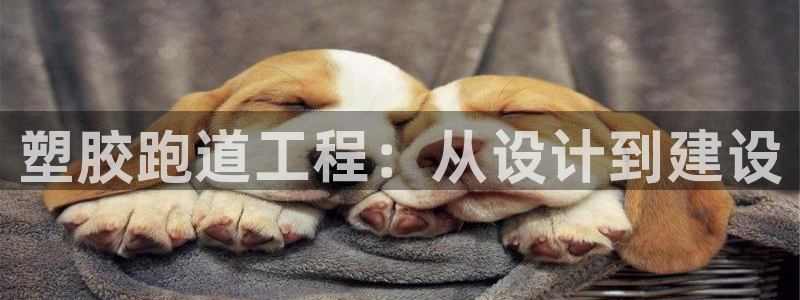 红足1世足球网址大全：塑胶跑道工程：从设计到建设