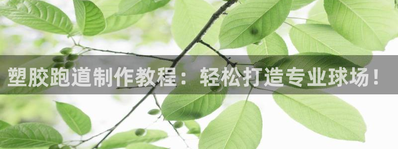 红足网足球直播：塑胶跑道制作教程：轻松打造专业球场！