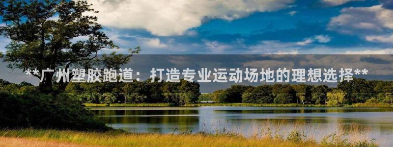 红足1世足球：**广州塑胶跑道：打造专业运动场地的理想选择**