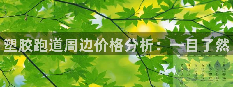 红足一1世666814最新结果：塑胶跑道周边价格分析：一目了然