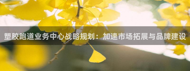 红足一一世：塑胶跑道业务中心战略规划：加速市场拓展与品牌建设