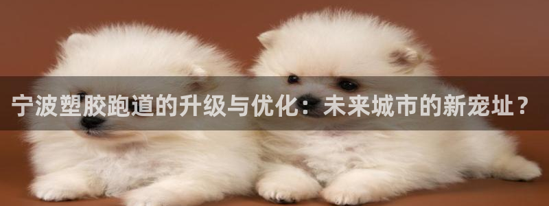 红足一生世：宁波塑胶跑道的升级与优化：未来城市的新宠址？