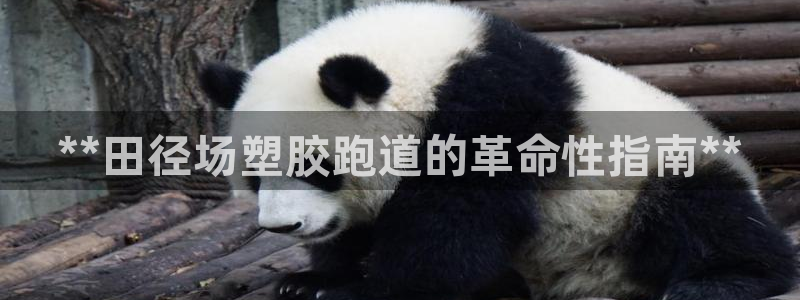 红足一1世77814：**田径场塑胶跑道的革命性指南**