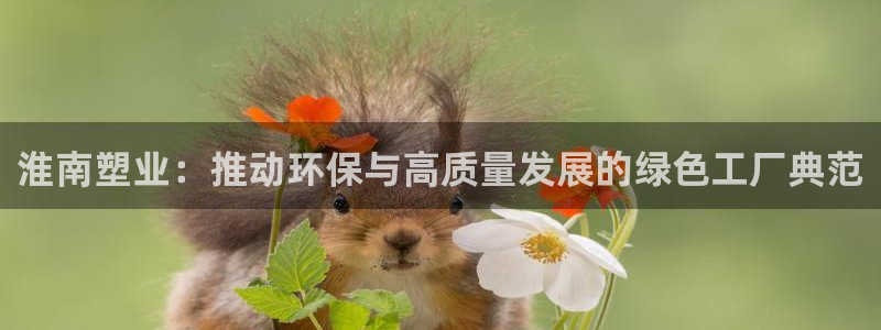 百度红足一1视频在线观看：淮南塑业：推动环保与高质量发展的绿色工厂典范