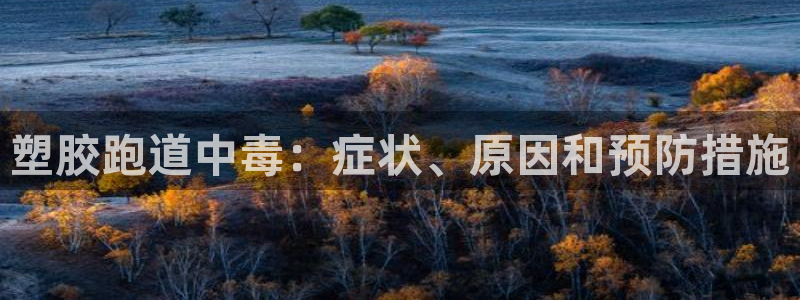 红足一1世手机版新皇冠：塑胶跑道中毒：症状、原因和预防措施