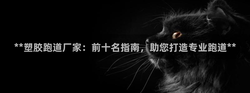红足1一世：**塑胶跑道厂家：前十名指南，助您打造专业跑道**