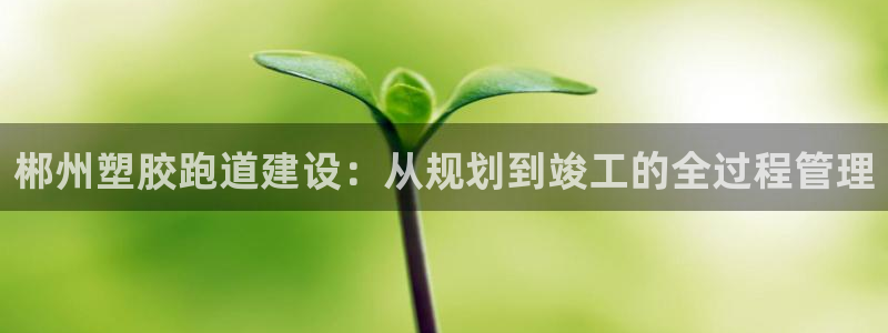 红足一比分网：郴州塑胶跑道建设：从规划到竣工的全过程管理