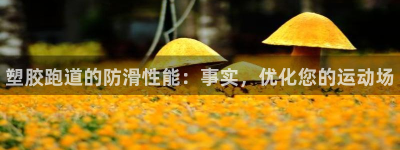 红足1世足球比分：塑胶跑道的防滑性能：事实，优化您的运动场