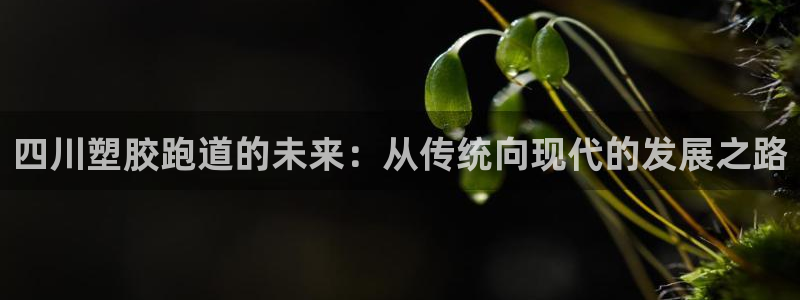 红足1世足球比分 localhost：四川塑胶跑道的未来：从传统向现代的发展之路