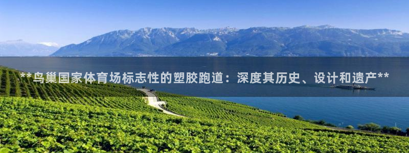 红足1一世开奖版：**鸟巢国家体育场标志性的塑胶跑道：深度其历史、设计和遗产**