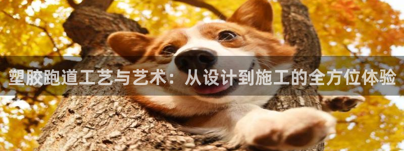 红足一一世足球网开奖记录：塑胶跑道工艺与艺术：从设计到施工的全方位体验