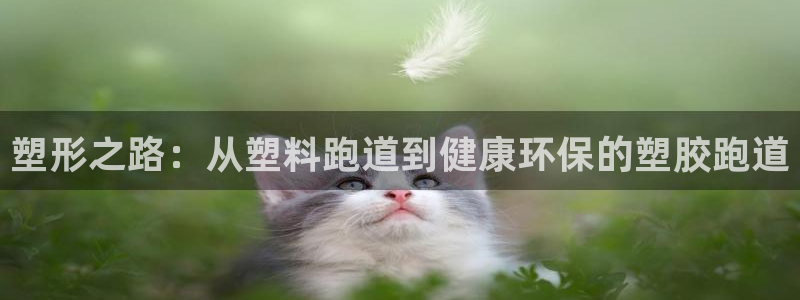 333814红·足一世比分：塑形之路：从塑料跑道到健康环保的塑胶跑道