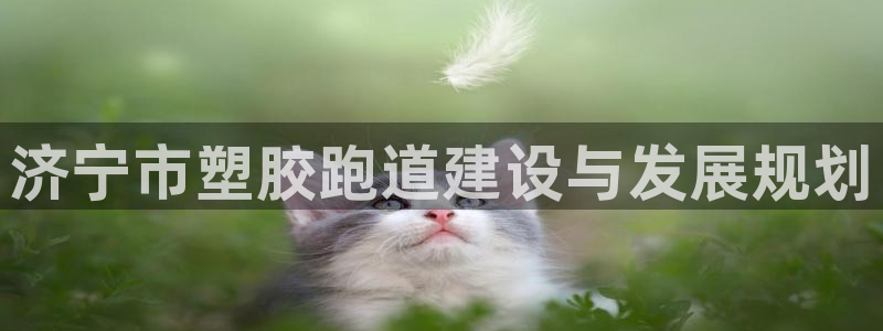 红足1世足球网址：济宁市塑胶跑道建设与发展规划