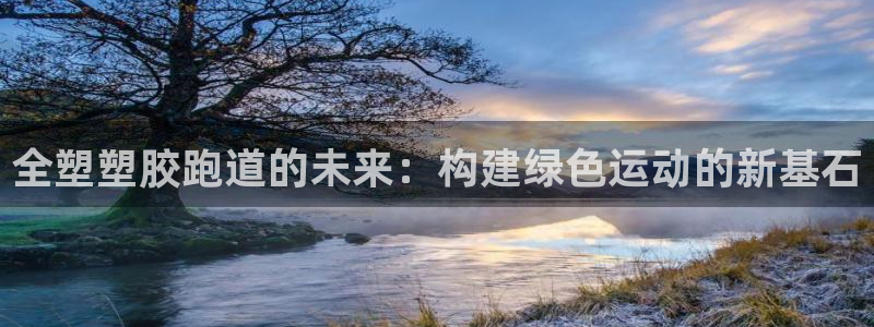 百度红足一1是为什么：全塑塑胶跑道的未来：构建绿色运动的新基石