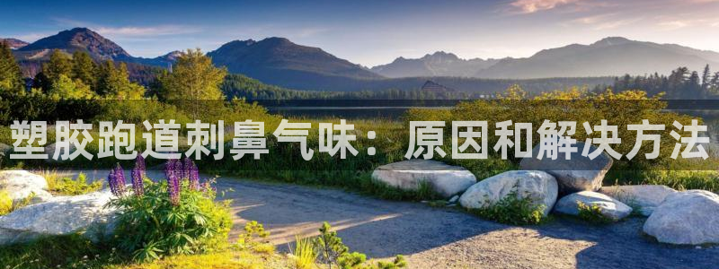 红足一：塑胶跑道刺鼻气味：原因和解决方法