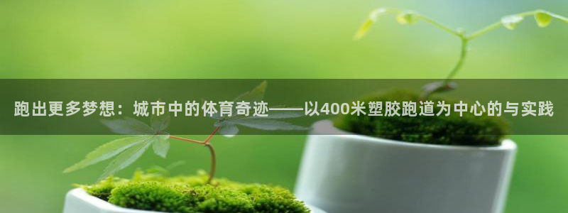 77814红足1世：跑出更多梦想：城市中的体育奇迹——以400米塑胶跑道为中心的与实践
