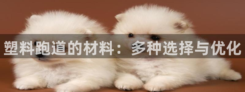 红足1世手机版下载：塑料跑道的材料：多种选择与优化