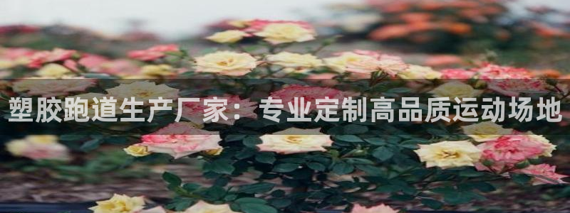 红足1世足球比分网址：塑胶跑道生产厂家：专业定制高品质运动场地