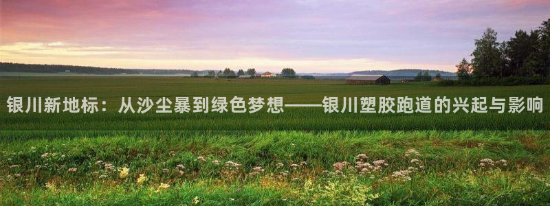 333814红·足一世比分：银川新地标：从沙尘暴到绿色梦想——银川塑胶跑道的兴起与影响