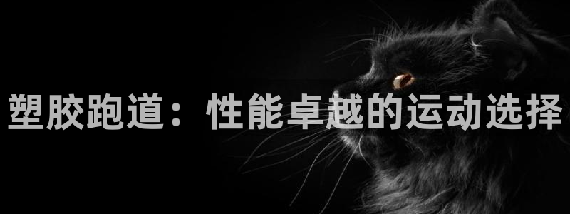 红足一：塑胶跑道：性能卓越的运动选择