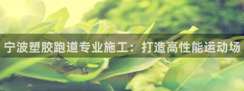 红足一1世666814最新结果：宁波塑胶跑道专业施工：打造高性能运动场