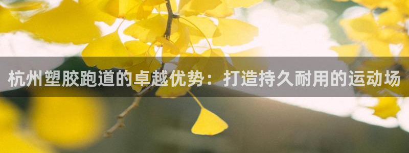 红足1世足球网址大全：杭州塑胶跑道的卓越优势：打造持久耐用的运动场