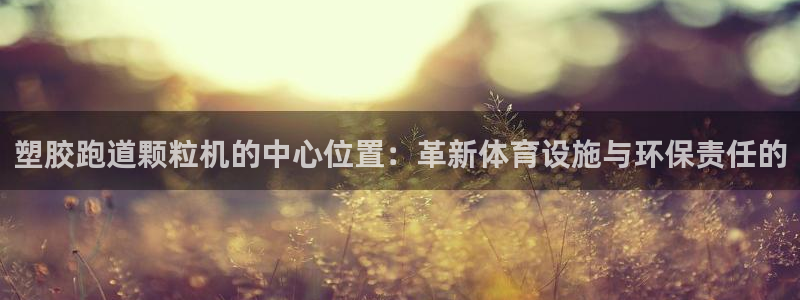 百度红足一1是什么样子的：塑胶跑道颗粒机的中心位置：革新体育设施与环保责任的